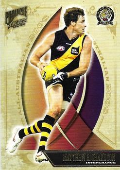 2009 Select AFL Pinnacle - All Australian #AA21 Matthew Richardson Front